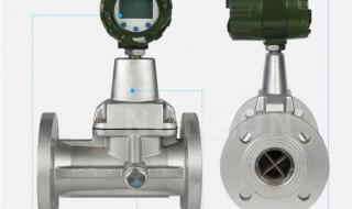 旋涡流量计 旋涡流量计